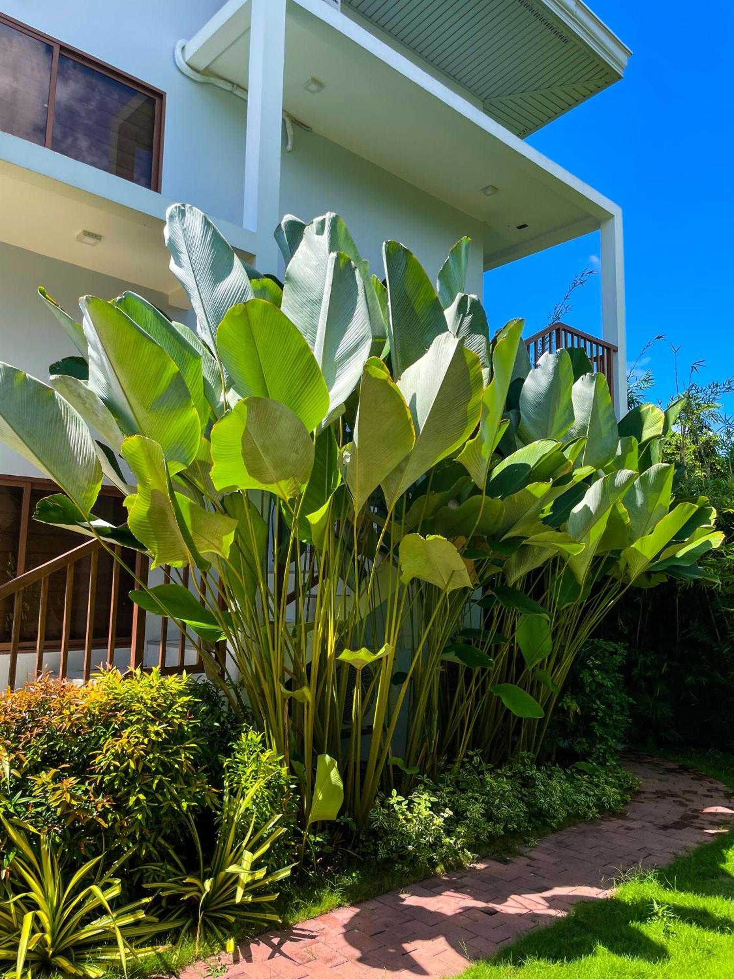 Red Picnic Hostel Panglao Eksteriør bilde
